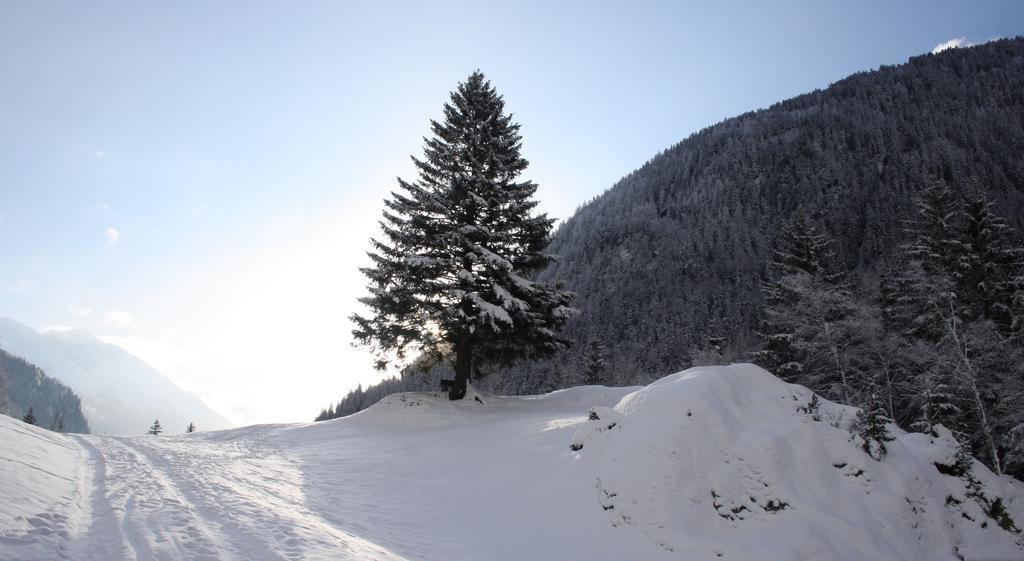 Apartments Haus Schoen - Preise Inclusive Pitztal Sommer Card แยร์สเซินส์ ภายนอก รูปภาพ